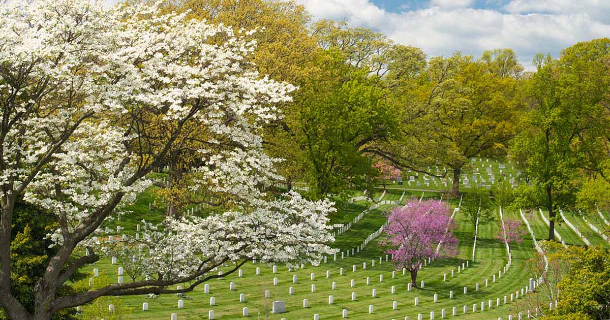 Arlington National Cemetery Facts And History