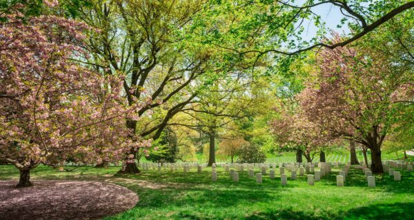 Arlington Cemetery and Spring